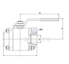 Structure of 2000 Psi 3-PC NPT / BSP Threaded Ends