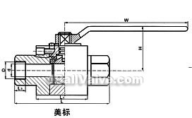 GB/ANSI high pressure forged small ball valve constructral diagram1